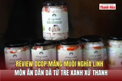 [REVIEW OCOP] Măng muối Nghĩa Linh - Món ăn dân dã từ tre xanh xứ Thanh