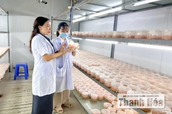Khi “thần dược” bước ra từ phòng thí nghiệm