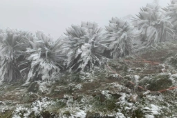 Đêm mai (24/12), không khí lạnh ảnh hưởng tới Thanh Hóa