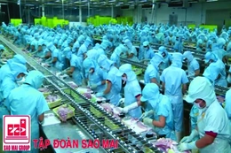 Năm 2016, doanh thu của IDI cán mốc hơn 4.000 tỷ đồng