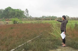 27 hộ dân thuộc diện giải phóng mặt bằng Đại lộ Nam sông Mã: Gần 8 năm chưa được cấp Giấy CNQSDĐ