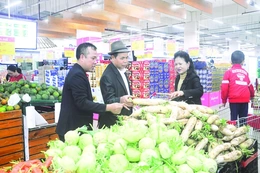 Thanh Hóa trở thành bến đỗ an toàn của doanh nghiệp tỉnh ngoài