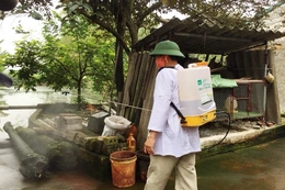 Toàn tỉnh huy động hơn 79.000 lít hóa chất phòng, chống bệnh Dịch tả lợn Châu Phi