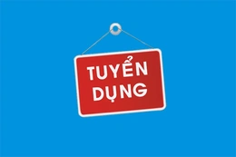 Thông báo tuyển dụng