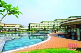 Thống nhất nội dung đánh giá tiềm năng và giải pháp phát triển du lịch Thanh Hóa giai đoạn 2021 - 2025