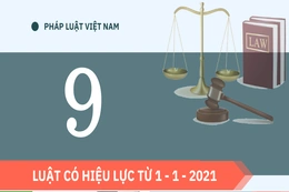 9 Luật có hiệu lực từ 1 - 1 - 2021
