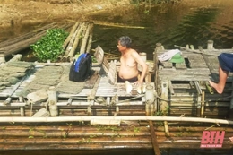 Sở NN&PTNT chỉ đạo ứng phó với tình trạng cá chết trên sông Mã đoạn qua huyện Cẩm Thuỷ