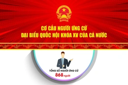 [Infographic] - Cơ cấu người ứng cử Đại biểu Quốc hội khóa XV của cả nước