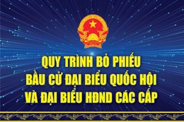 [Infographic] - Quy trình bỏ phiếu bầu cử đại biểu Quốc hội và đại biểu HĐND các cấp