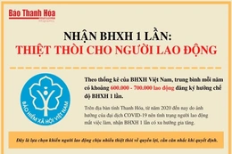 [Infographic] - Nhận BHXH 1 lần: Thiệt thòi cho người lao động