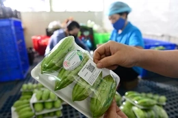 Thanh Hóa ban hành Kế hoạch thực hiện Đề án Đổi mới phương thức kinh doanh, tiêu thụ nông sản giai đoạn 2021-2025, định hướng đến năm 2030
