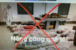 Tin giả cũng đang lây lan như một dạng vi rút