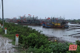 Các địa phương ven biển chủ động ứng phó với ảnh hưởng của áp thấp nhiệt đới