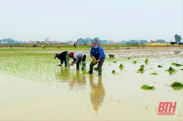 Nông dân nô nức xuống đồng sản xuất đầu xuân