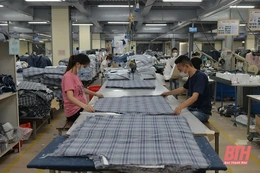 Công ty TNHH Thiệu Đô bảo đảm việc làm thường xuyên cho 1.189 lao động