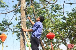 Gấp rút chuẩn bị cho sự kiện “Tuần văn hóa thành phố Thanh Hóa- thành phố Hội An”