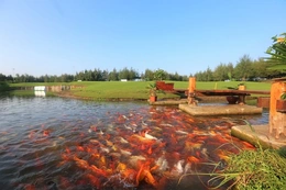 Những điểm Check-in không thể bỏ lỡ hè này của golfer