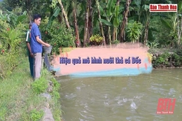 Người thành công với mô hình nuôi thả cá Dốc ở   vùng cao