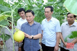 Lãnh đạo, chỉ đạo đẩy mạnh phát triển nông nghiệp sạch, nông nghiệp hữu cơ, nông nghiệp tuần hoàn  trên địa bàn tỉnh