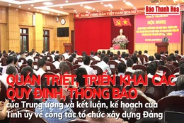 Quán triệt, triển khai các quy định, thông báo của Trung ương và kết luận, kế hoạch của Tỉnh ủy về công tác tổ chức xây dựng Đảng
