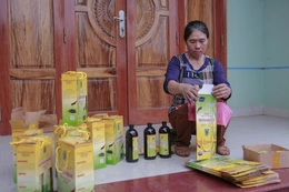 Thạch Thành có 9 sản phẩm đạt OCOP  3 sao  cấp tỉnh