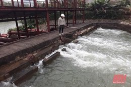 Chủ động khắc phục nguồn nước nhiễm mặn, phục vụ tưới cho sản xuất nông nghiệp