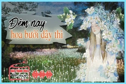 [Radio] - Tản văn: Đêm nay hoa bưởi dậy thì