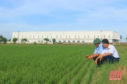 Mở rộng đối tượng nhận chuyển nhượng QSDĐ nông nghiệp