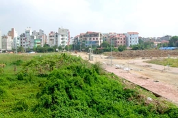 Một số ý kiến góp ý vào dự thảo Luật Đất đai (sửa đổi)