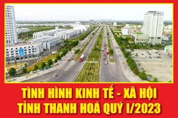 [ Infographic ] -  Tình hình kinh tế - xã hội tỉnh Thanh Hóa quý  I/ 2023