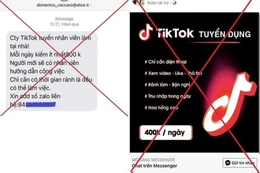 Lừa đảo “like video Tiktok” kiếm tiền: Thủ đoạn mới cần nâng cao cảnh giác