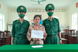 Cất giấu ma túy trong sạp hàng trái cây để bán kiếm lời