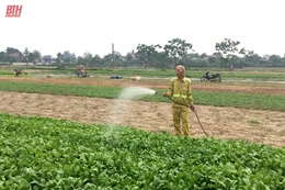 Toàn tỉnh có hơn 18.095  ha  cây trồng  nguy cơ  thiếu nước, ảnh hưởng năng suất
