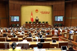 Kỳ họp thứ 5, Quốc hội khóa XV: Thảo luận về dự án Luật sửa đổi, bổ sung một số điều của Luật Công an nhân dân