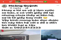 Xin lỗi trên mạng