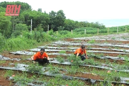 Tỷ lệ doanh nghiệp đầu tư vào nông nghiệp thấp