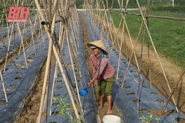 Thiệu Hóa sẵn sàng cho sản xuất vụ đông