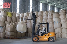 Xây dựng thương hiệu “gạo xứ Thanh”, hướng đến thị trường xuất khẩu