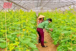 Nhiều giải pháp đẩy mạnh ứng dụng khoa học công nghệ vào sản xuất nông nghiệp