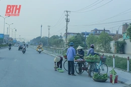 Thực hiện các giải pháp quản lý, bảo vệ hành lang an toàn đường bộ