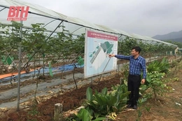 Xuân Du đẩy mạnh phát triển sản xuất, gắn với XDNTM