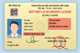 Giảm lệ phí cấp mới, cấp lại, cấp đổi giấy phép lái xe