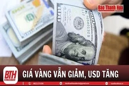Bản tin tài chính sáng 19/1/2024: Giá vàng chưa thể đảo chiều