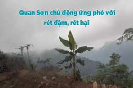 Quan Sơn chủ động ứng phó với rét đậm, rét hại