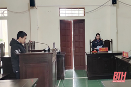 7 tháng tù về tội tàng trữ 
