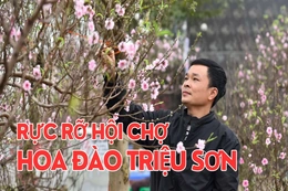 Rực rỡ Hội chợ hoa đào Triệu Sơn