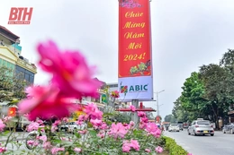 TP Thanh Hóa rực rỡ cờ hoa mừng Đảng, mừng Xuân