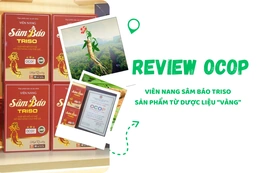 [REVIEW OCOP] Viên nang Sâm Báo Triso - Sản phẩm từ dược liệu“vàng”