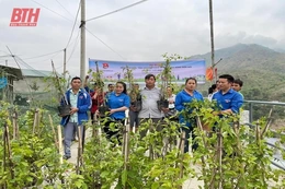 Tháng Thanh niên 2024: Thanh niên xung kích tình nguyện vì cuộc sống cộng đồng