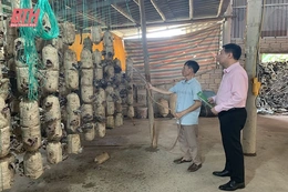 Tín dụng chính sách nỗ lực “không để ai bị bỏ lại phía sau”